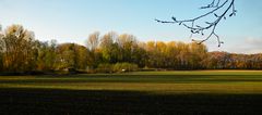 in memoriam Hanns Dieter Hüsch: NIEDERRHEINISCHER HERBST IX