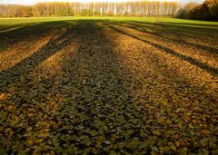 In memoriam Hanns Dieter Hüsch: NIEDERRHEINISCHER HERBST VII