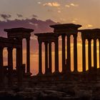 In Memoriam Palmyra 1