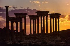 In Memoriam Palmyra 1