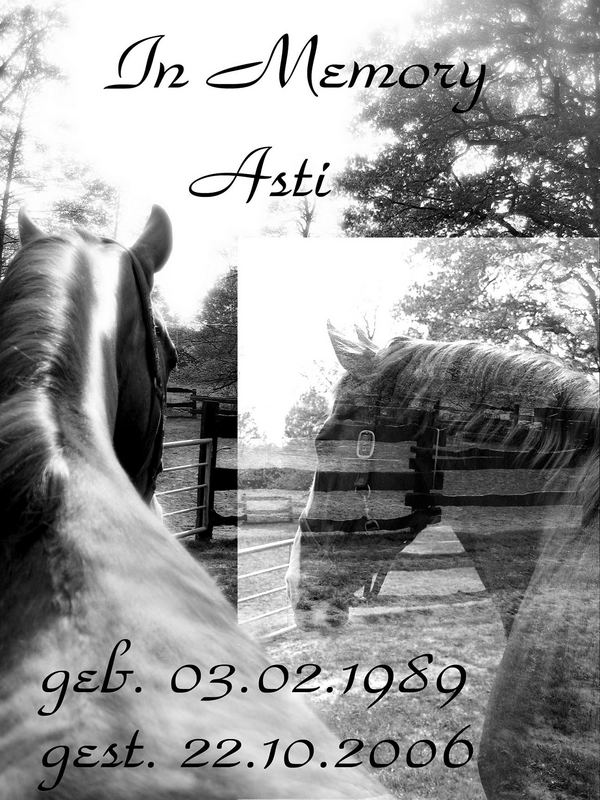 *In Memory Asti*