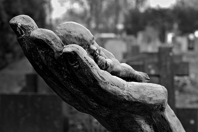 In Memory of the Stillborn children