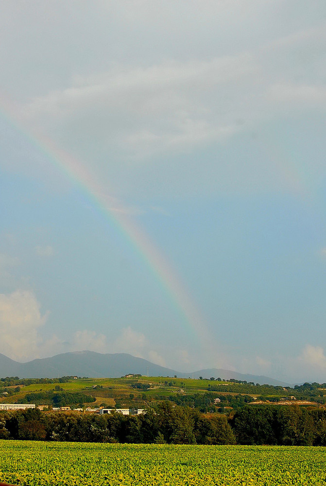 In mezzo al cielo...