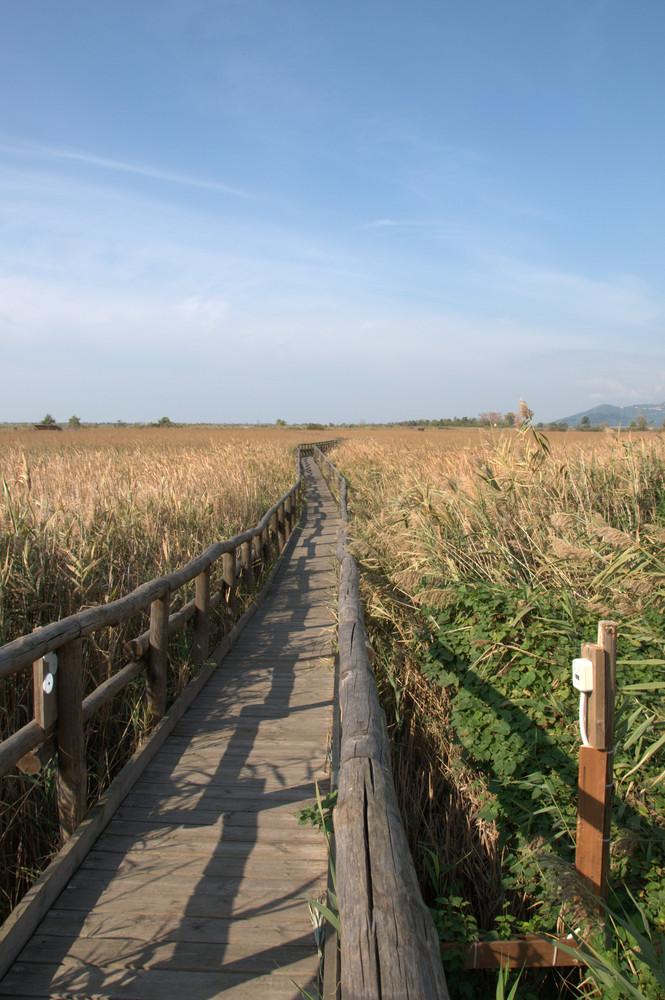 in mezzo alla natura