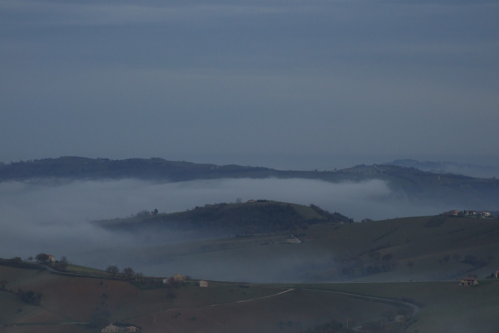 in mezzo alla nebbia