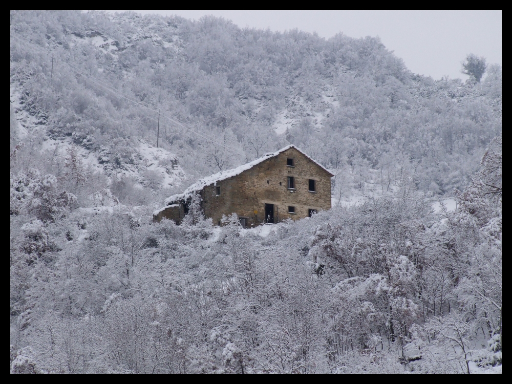 In mezzo alla neve