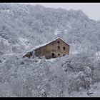 In mezzo alla neve