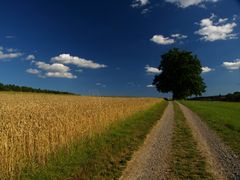 in Mittelbiberach, um Mittelbiberach und um Mittelbiberach rum