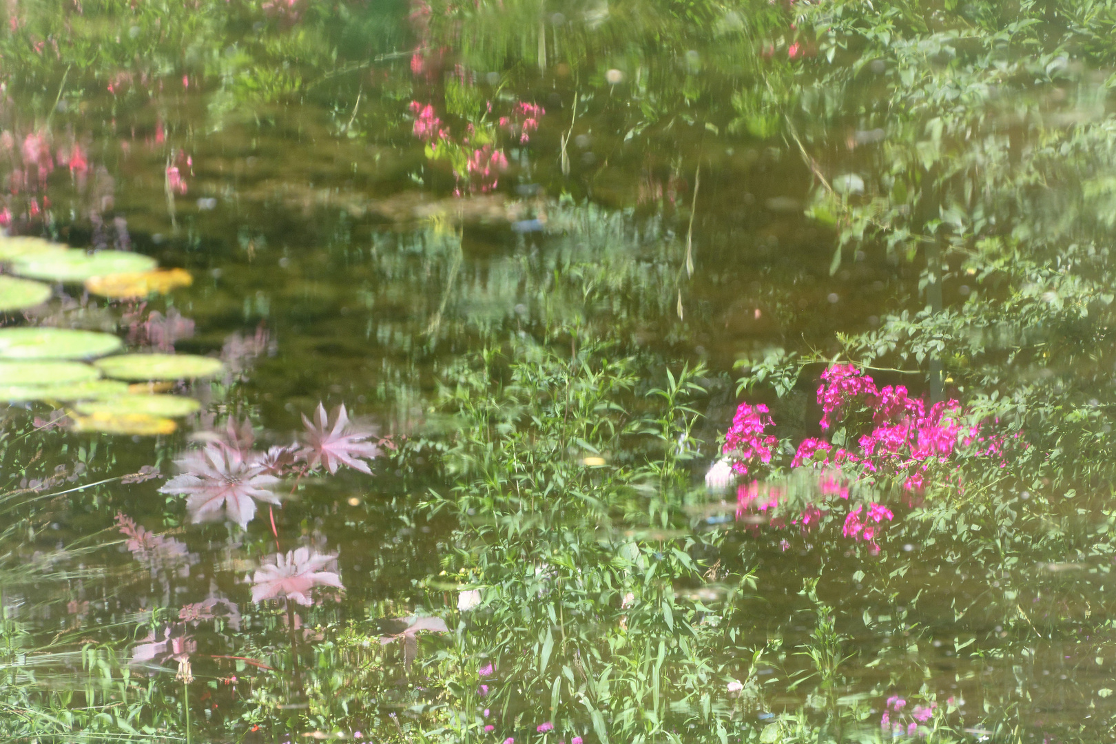 in Monet´s Garten 1