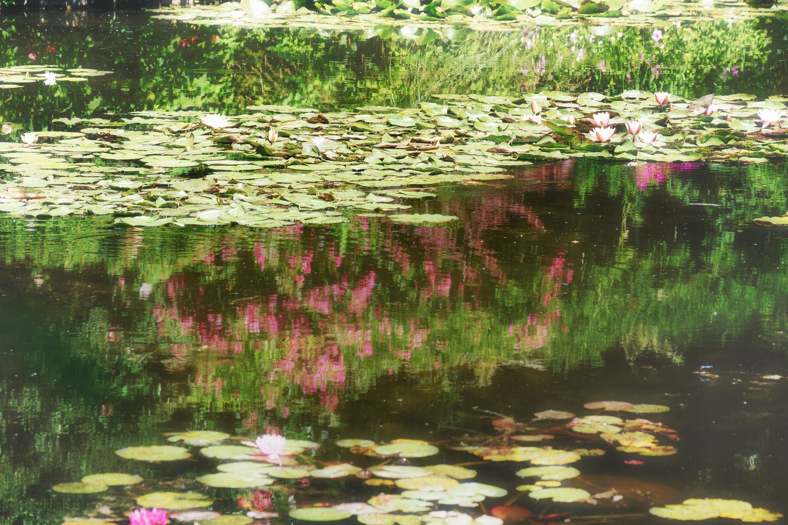 in Monet´s Garten 3