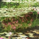 in Monet´s Garten 3