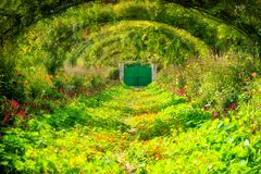 In Monets Garten