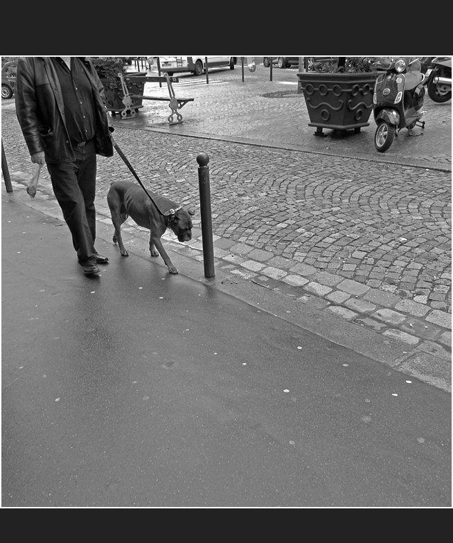 In Montmartre