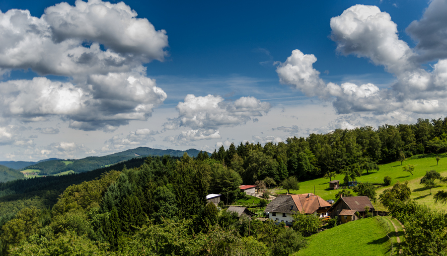 In Mühlenbach auf der Fleischdielte.