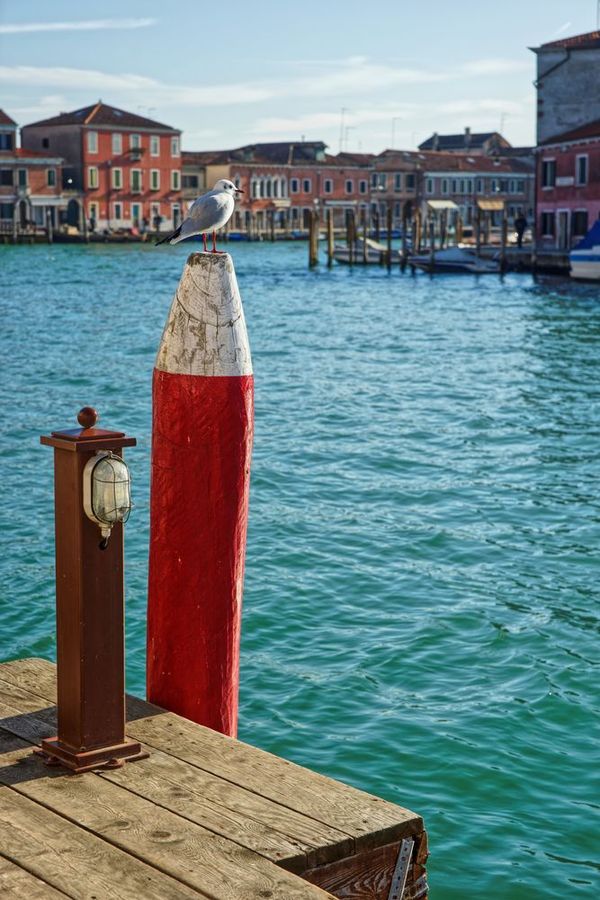 in Murano