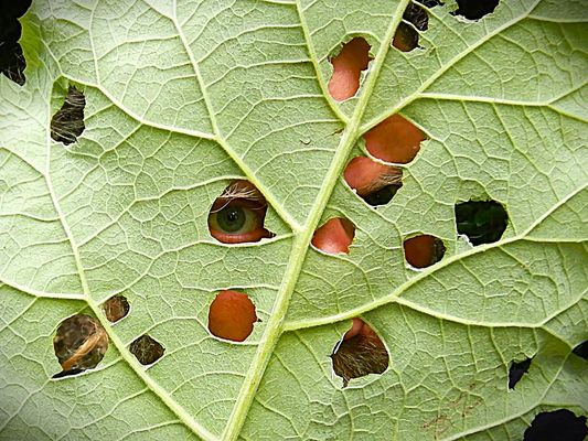 ---{{{ in my face  ---