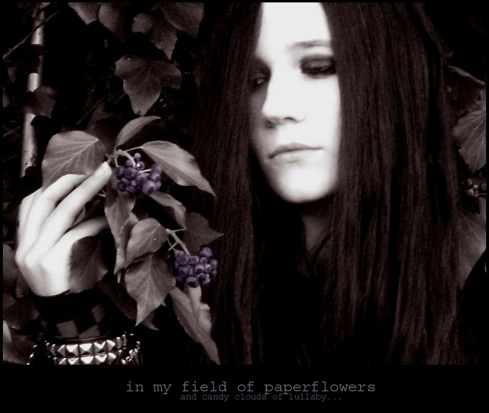 in my fields of paperflowers.