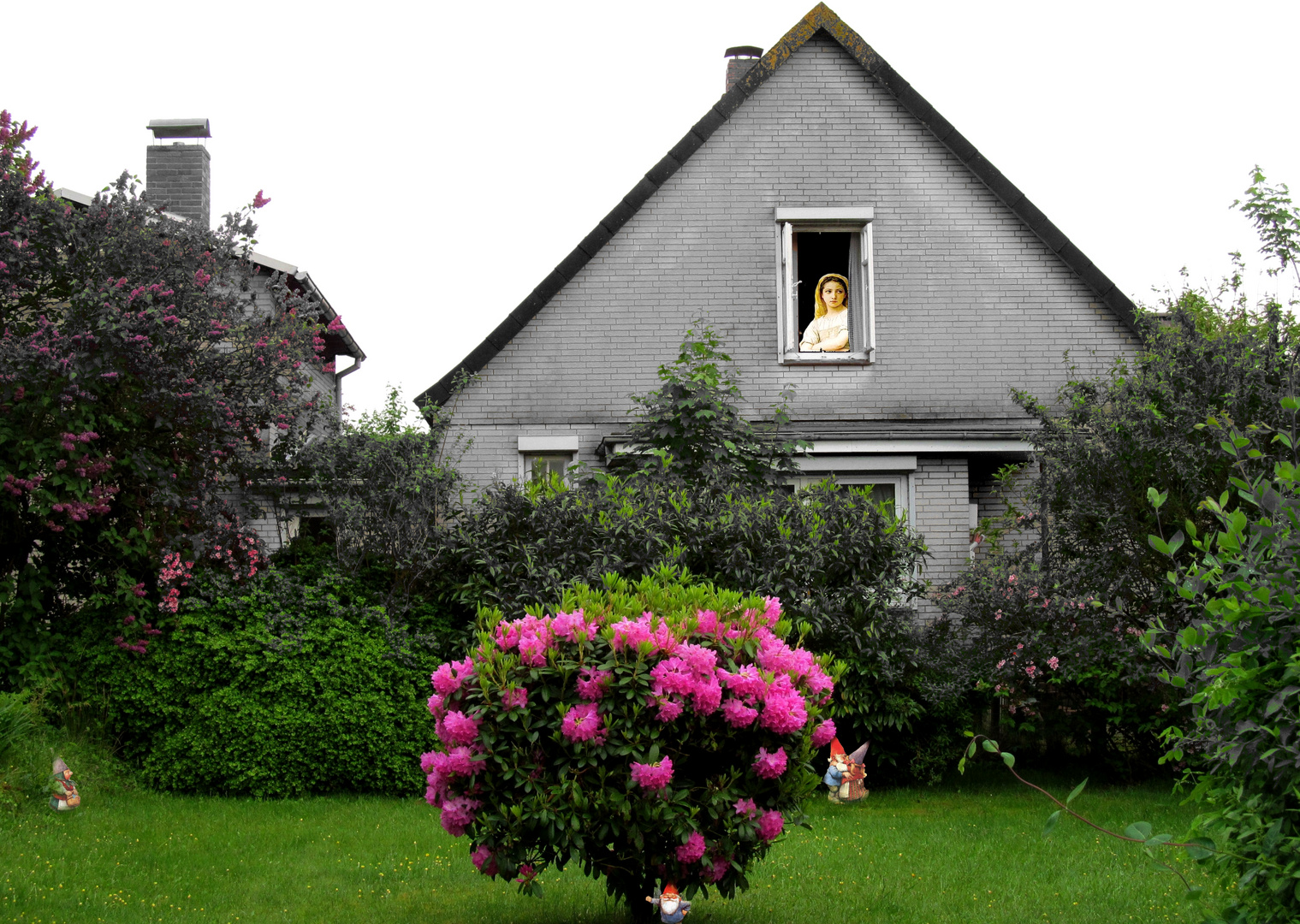 in Nachbar`s Garten Foto & Bild fun, spezial, natur Bilder auf
