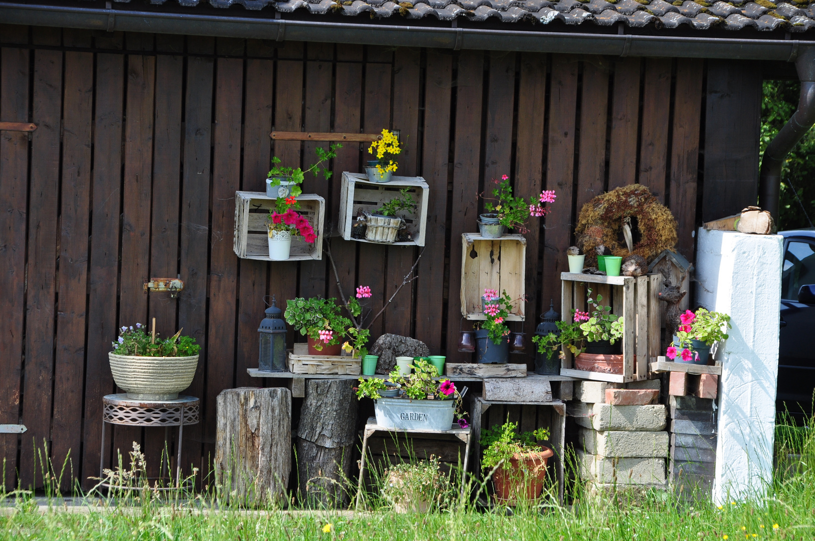 in Nachbars Garten