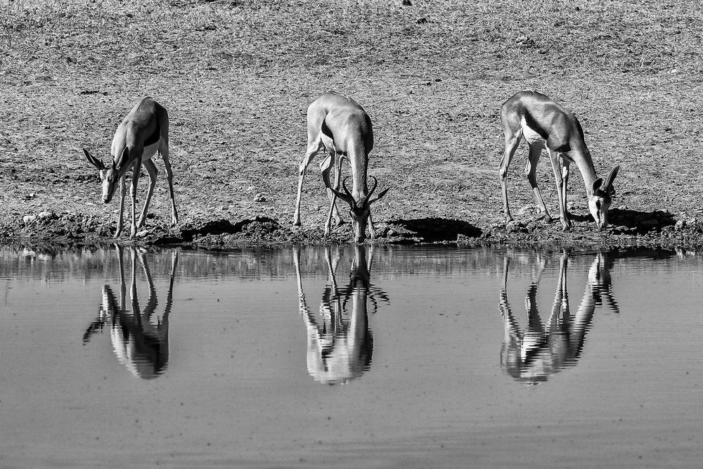 In Namibia