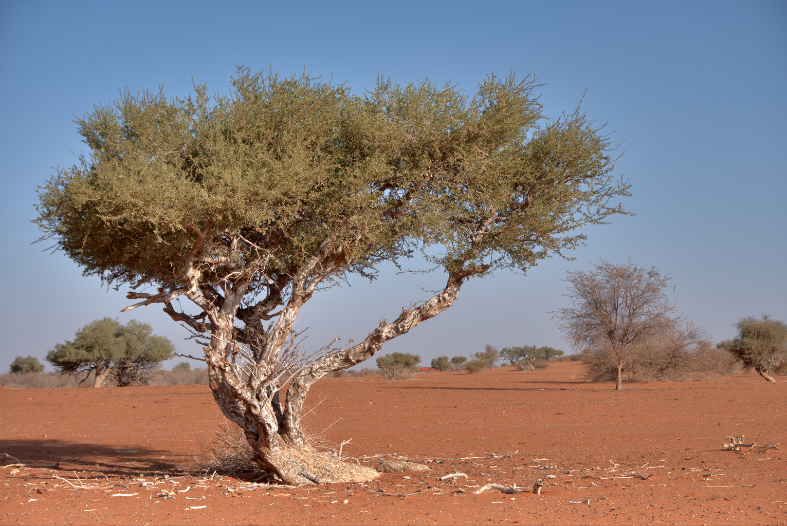 ... in Namibia... Weiss aber nicht mehr wo.