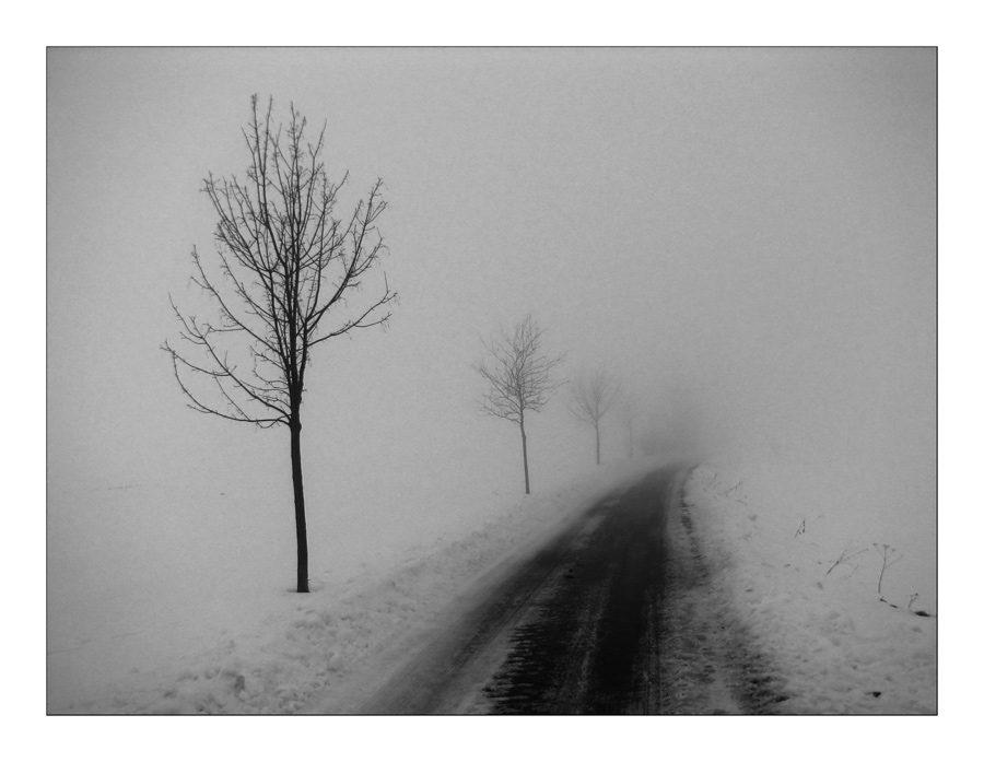 ***in Nebel***