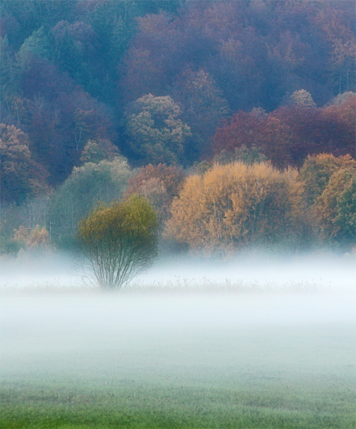 In Nebel eingehüllt ...