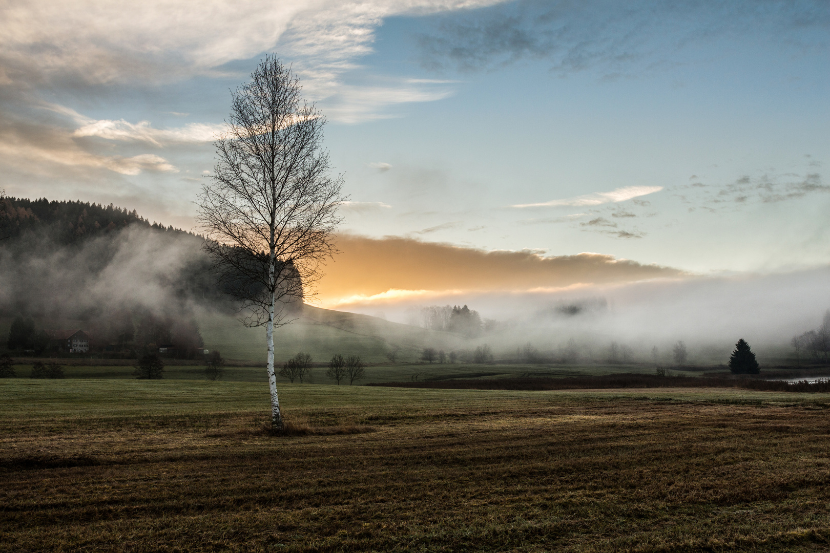 In Nebel gehüllt...