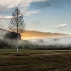 In Nebel gehüllt...