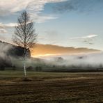 In Nebel gehüllt...