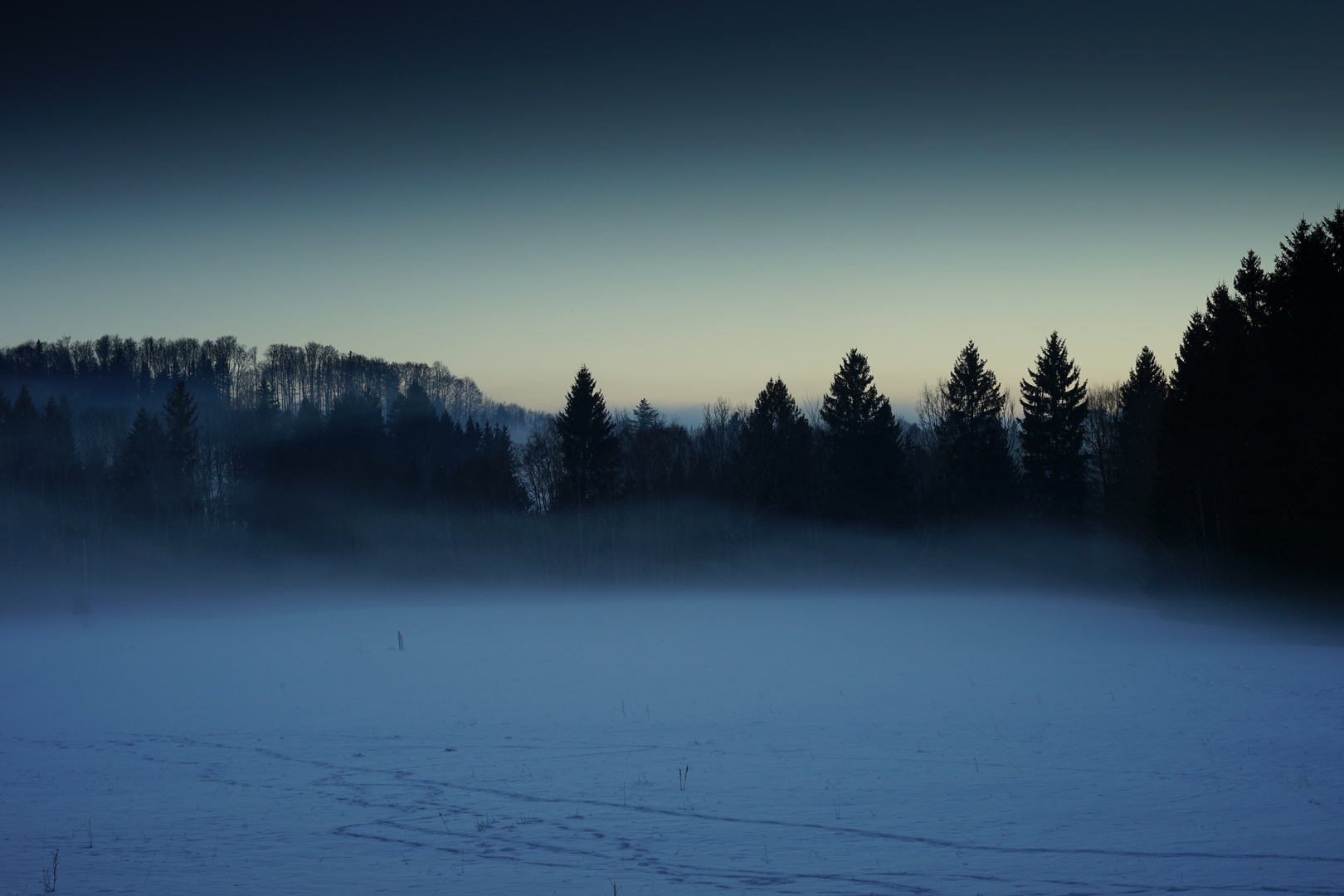 in Nebel gehüllt