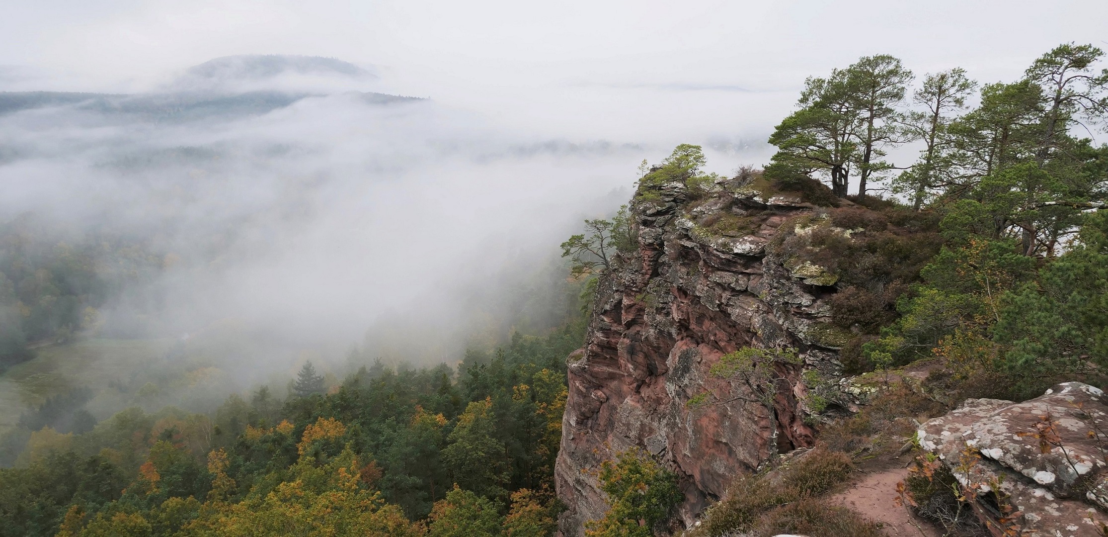 In Nebel gehüllt