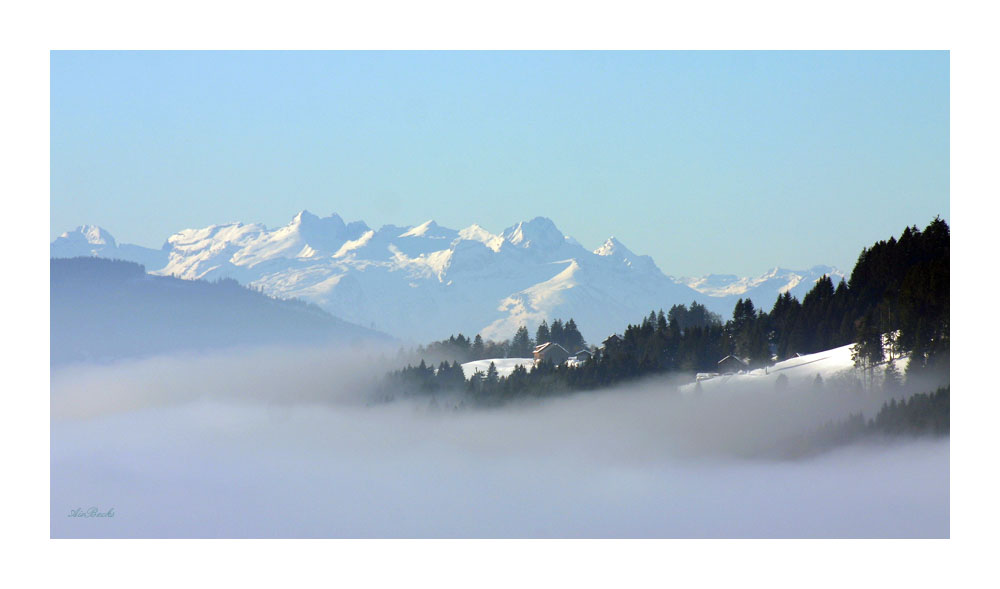 In Nebel gehüllt