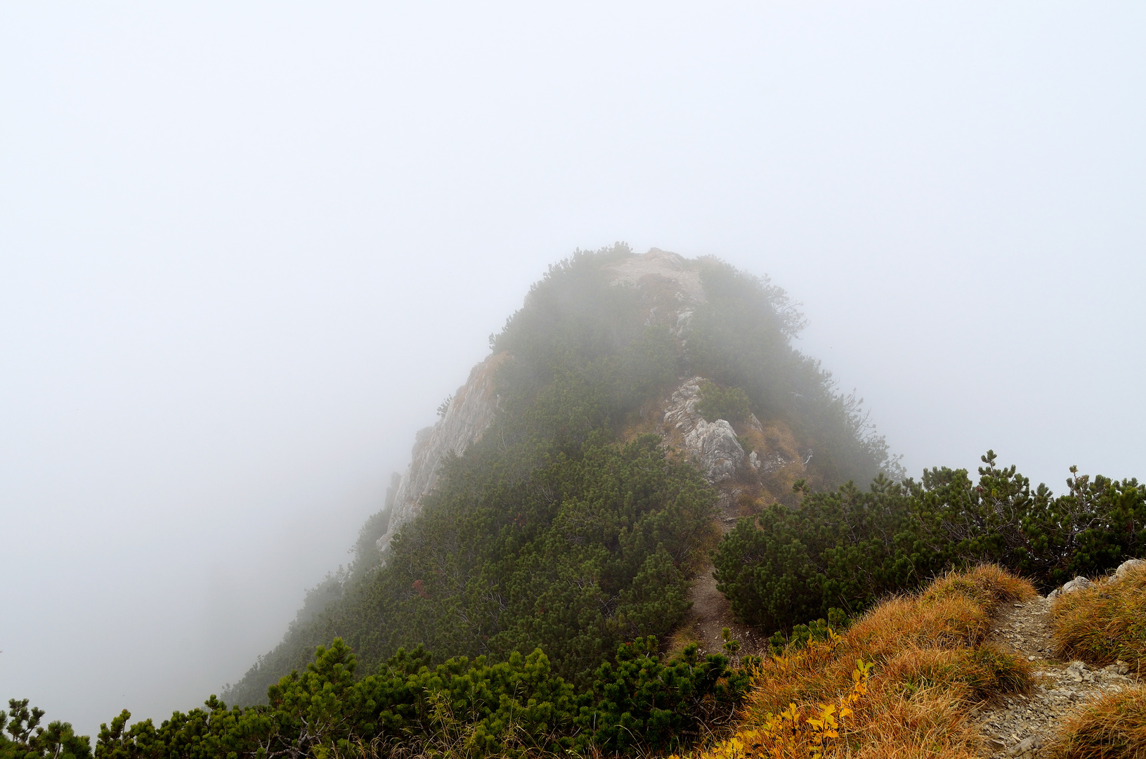 In Nebel gehüllte Gratwanderung vom Herzogstand zum Heimgarten