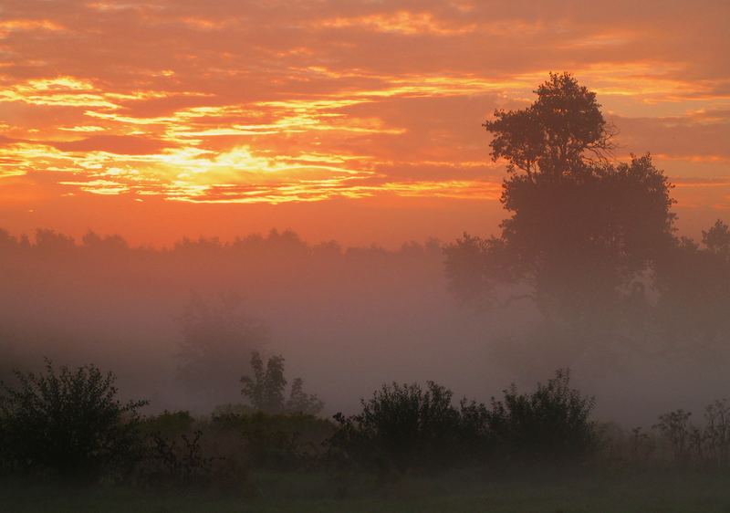 in nebel getaucht