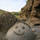 In Neuseeland sind selbst die Steine glücklich