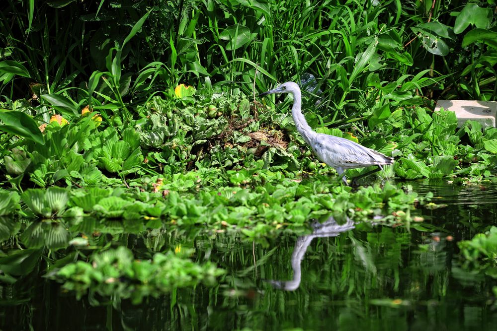 in Nicaragua 