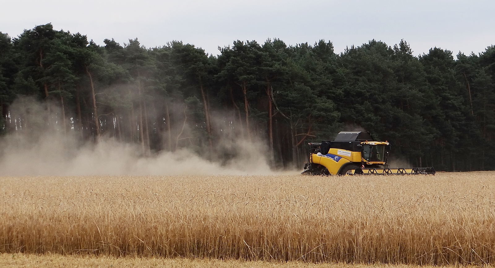 In Niedersachsen 