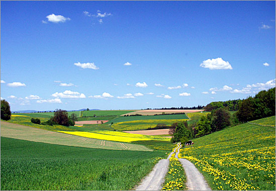 in nordhessen (als es mal nicht regnete)