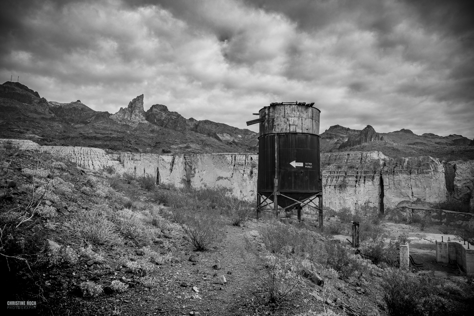 In Oatman Burro