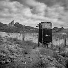 In Oatman Burro