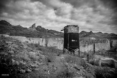 In Oatman Burro