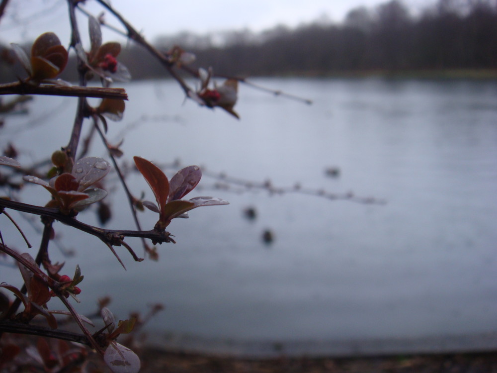 in Oberhausen an einem see.