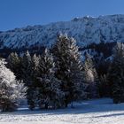 "In Oberjoch der Iseler 2"