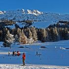 "In Oberjoch der Iseler 3- Serien-Ende"