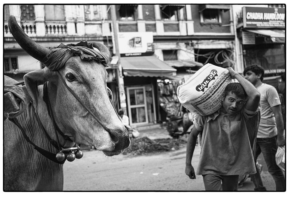 in Old Delhi