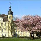 In Oldenburg ist Frühling ... das Schloss