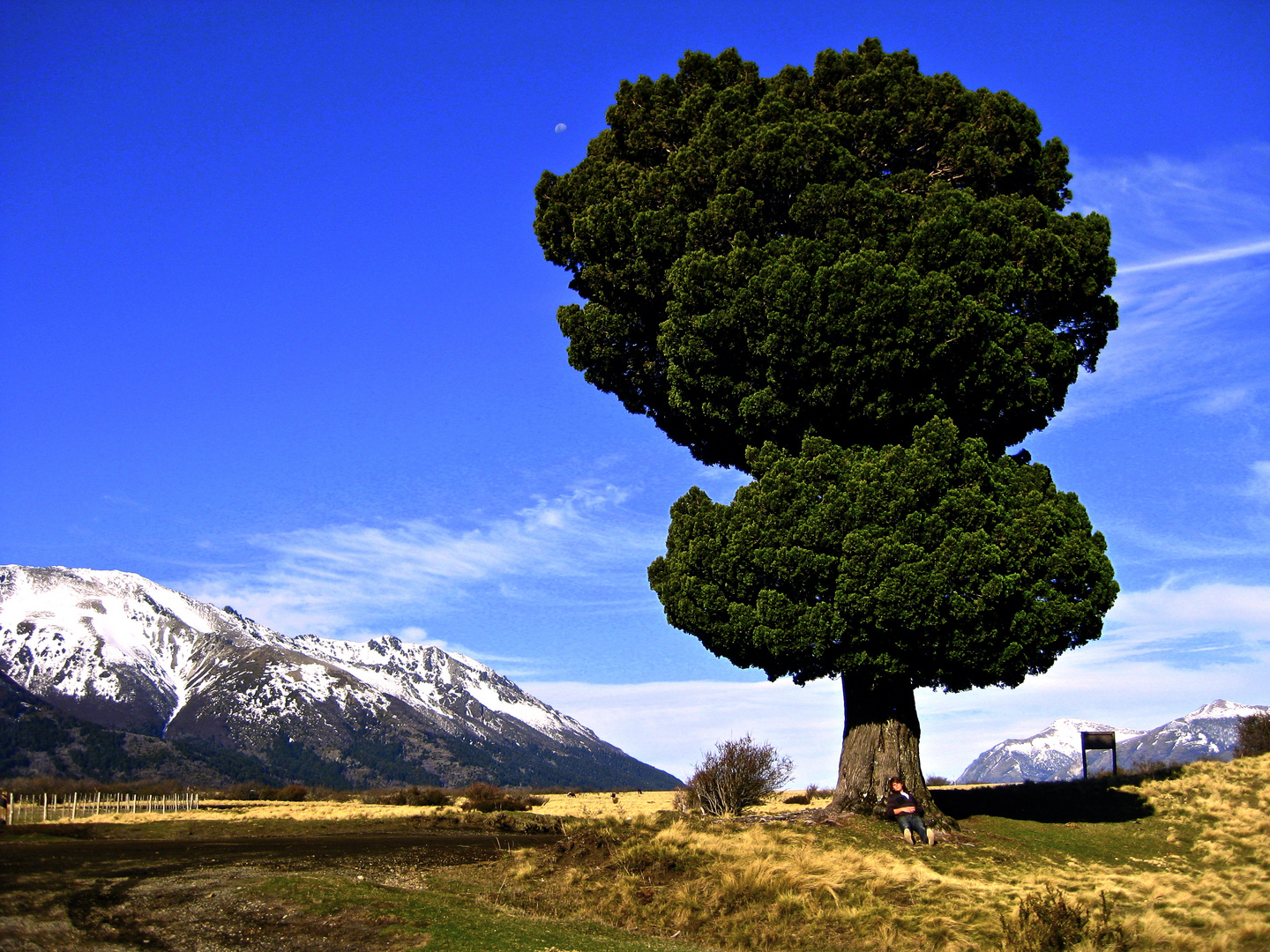 In Patagonien