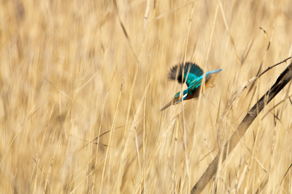 In piena azione...