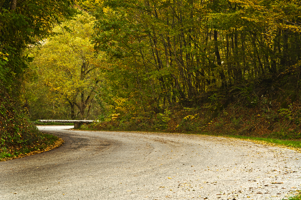 in pieno autunno!